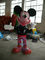 Het Park van Mickey Mouse Splash Pad Water Toy Fiberglass For Children Aqua