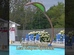 OEM-waterparkapparatuur, Cactus Spray Water Splash Pad zwembadspeelgoed